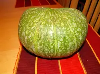 DSCF0360.webp