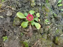 CIMG7424.webp