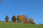 2012_1020Herbst0031.jpg