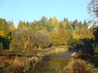 DSC00976.webp