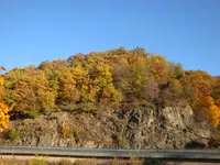 DSC00977.webp