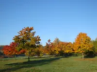 DSC00995.webp