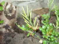 100_3286.webp
