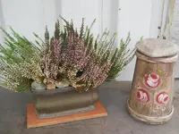 DSCN1750.webp