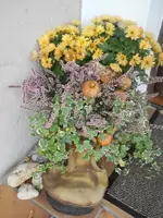 DSCN1753.webp