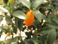 Bild 1404.webp