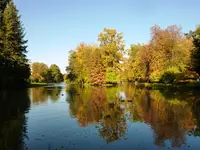 P1050860.webp
