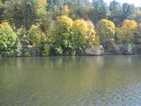 Bild 2067.webp