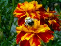 SDC15112.webp