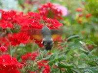 DSC01055.webp