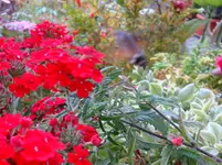 DSC01064.webp