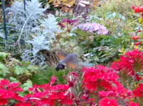 DSC01059.webp