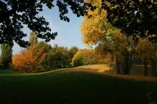 Herbst_2012_1_DSC06643.webp
