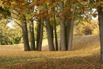 Herbst_2012_2_DSC05530.JPG