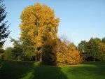 Herbst_2012_3_IMG_5070.JPG