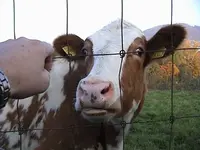 DSC00011.webp DSC00011.webp