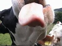 DSC00024.webp DSC00024.webp