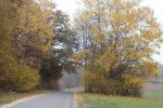 2012_1023Herbst0020.jpg