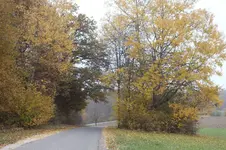 2012_1023Herbst0020.webp