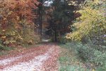 2012_1023Herbst0035.jpg