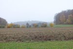 2012_1023Herbst0036.jpg