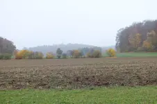 2012_1023Herbst0036.webp