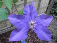 Bild 2106.webp