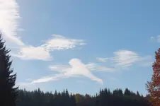 2012_1023Herbst0002.webp