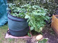 Kartoffelsack.webp