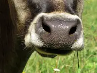 Copy of IMG_0643v.webp