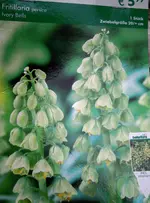 DSCN1251 Kopie.webp