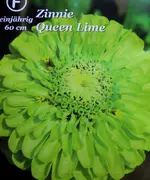 DSCN1248 Kopie.webp