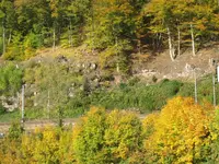 Bild 2047.webp