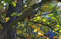 IMG_5656.webp
