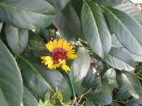 Bild 1816.webp