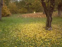 Laubinseln.webp