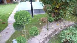 P1050105.webp