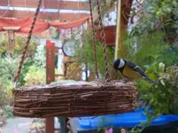 DSC01082.webp