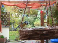 DSC01085.webp
