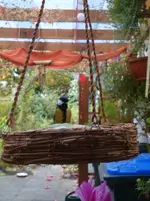 DSC01088.webp