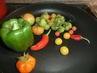 CIMG2113.webp