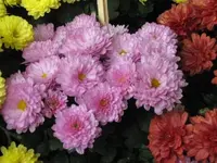 Bild 644.webp
