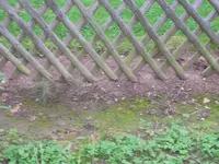 gartenzaun.webp