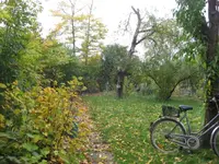 herbst.webp