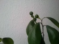 2012-10-26 13.07.07.webp