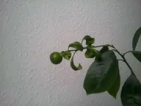 2012-10-26 13.07.13.webp