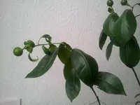 2012-10-26 13.07.28.webp