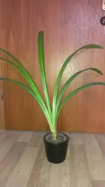 IMAG0660.webp