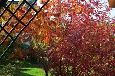 IMG_5483.webp