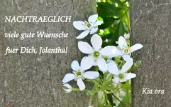 Jolantha 2012v.webp